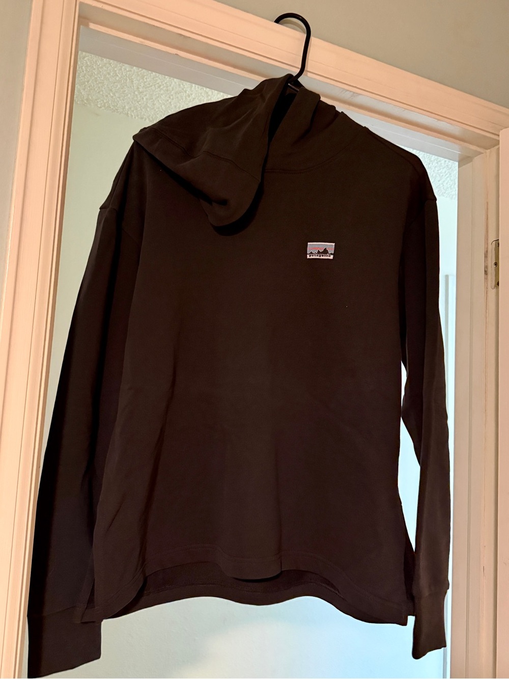 Patagonia Women's Regenerative Organic Certified™ Cotton Essential Hoody - Sz Lg - Picture 2 of 5